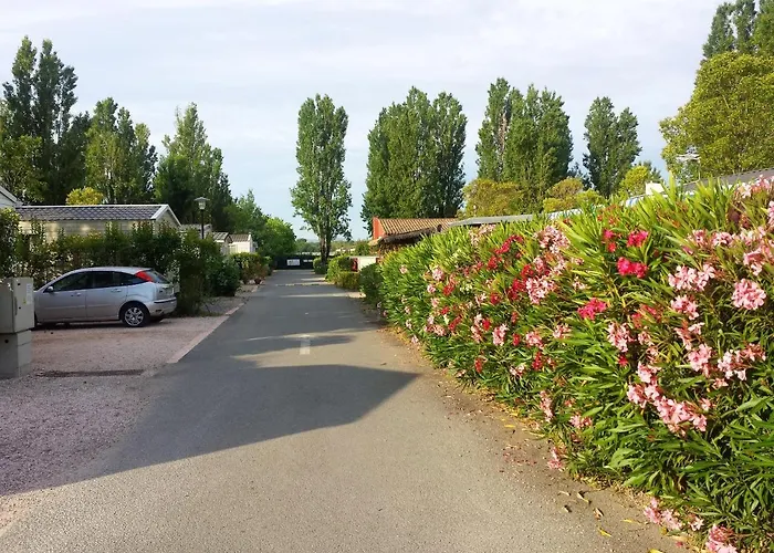 De 3 Avec Piscine Partagee Terrasse Amenagee Et Wifi A A 8 Km De La *