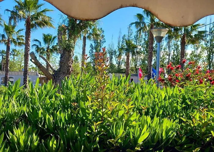 De 3 Avec Piscine Partagee Terrasse Amenagee Et Wifi A A 8 Km De La Hébergement de vacances Fréjus